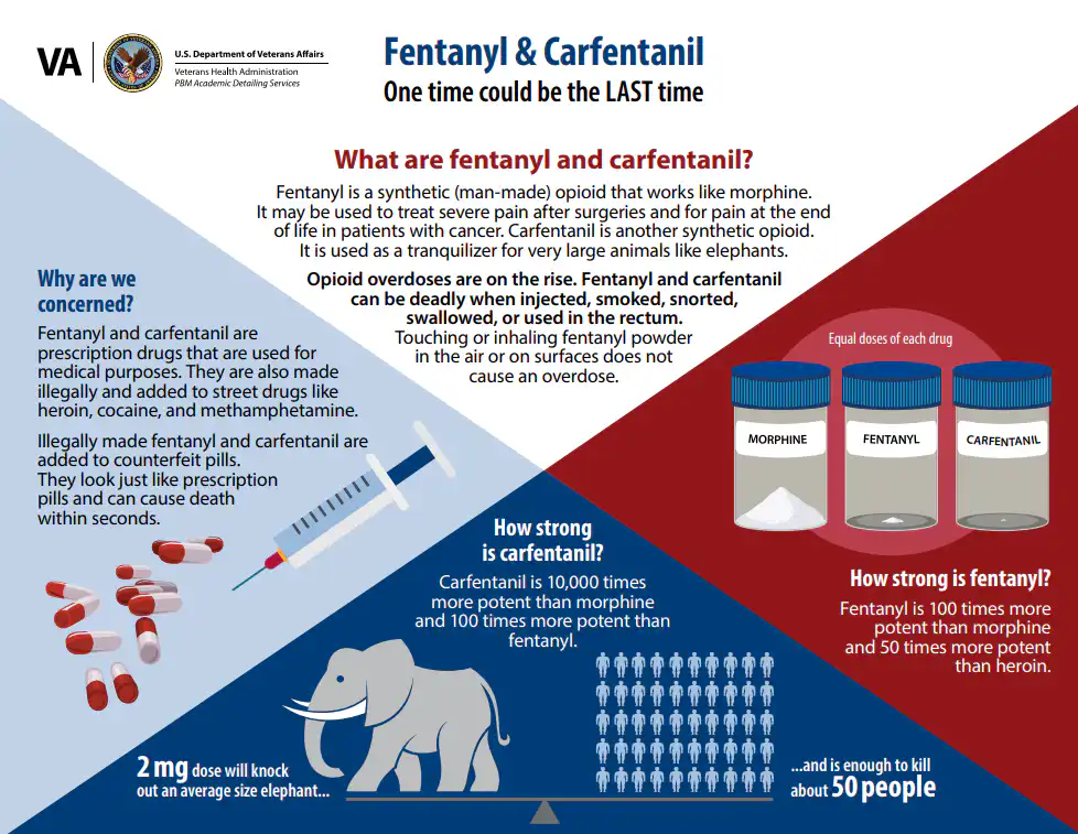 Carfentanil vs Fentanyl - Alt Text